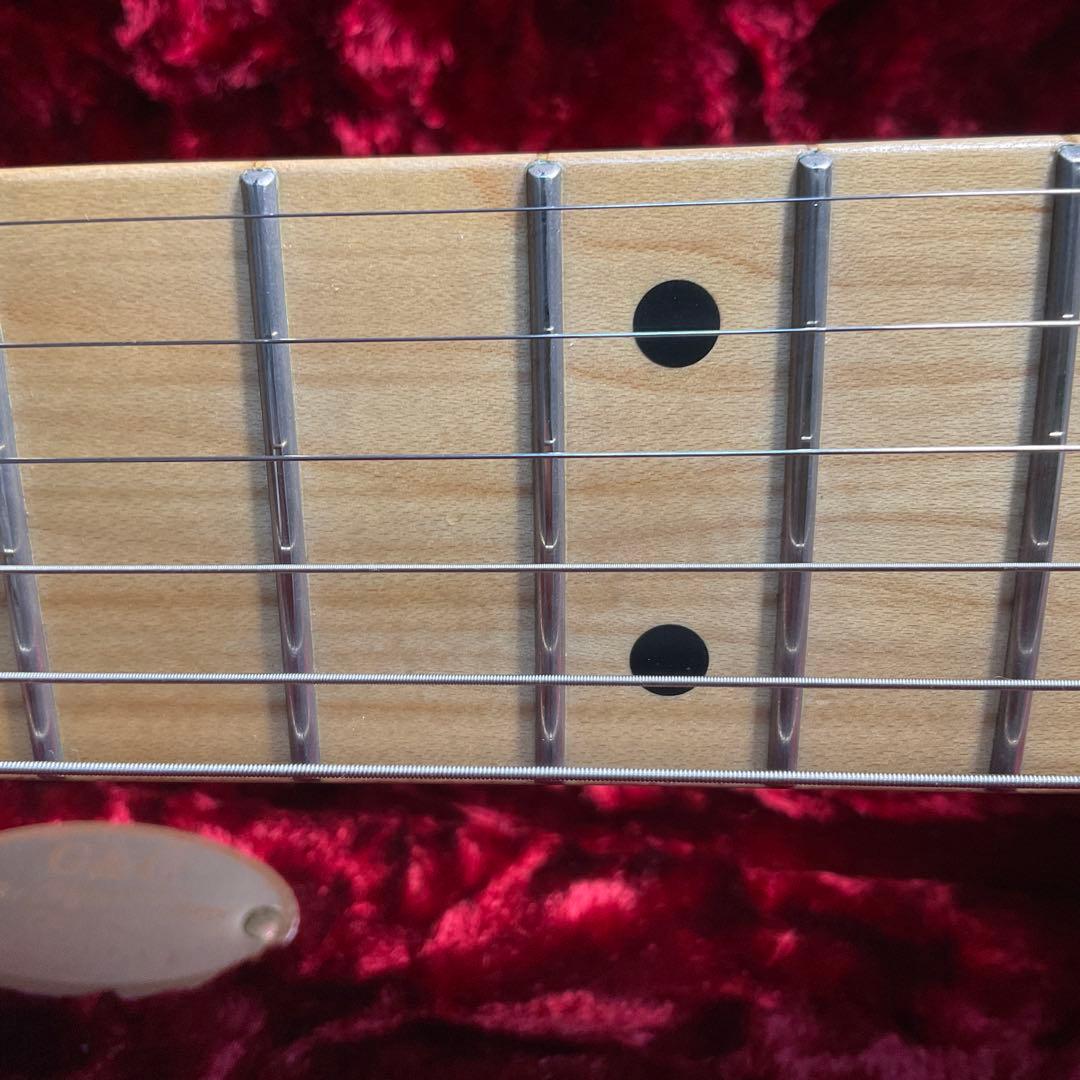 ギター FGN (Fujigen) NTL10MAH SBB