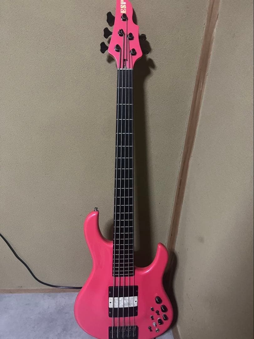 ESP HALIBUT オーダー品※期間限定値下げ中