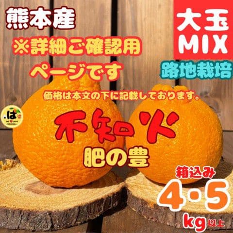 ※確認用　大玉MIX箱込み4.5kg以上【露地栽培　不知火　デコポン　肥の豊】