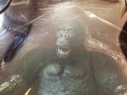 【新品未開封】 エクスプラス X-PLUS　キングコング　ソフビ フィギュア