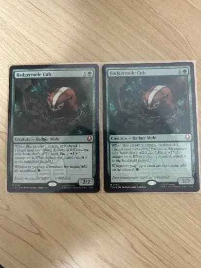 MTG アナグマモグラの仔/Badgermole Cub 英語版2枚セット