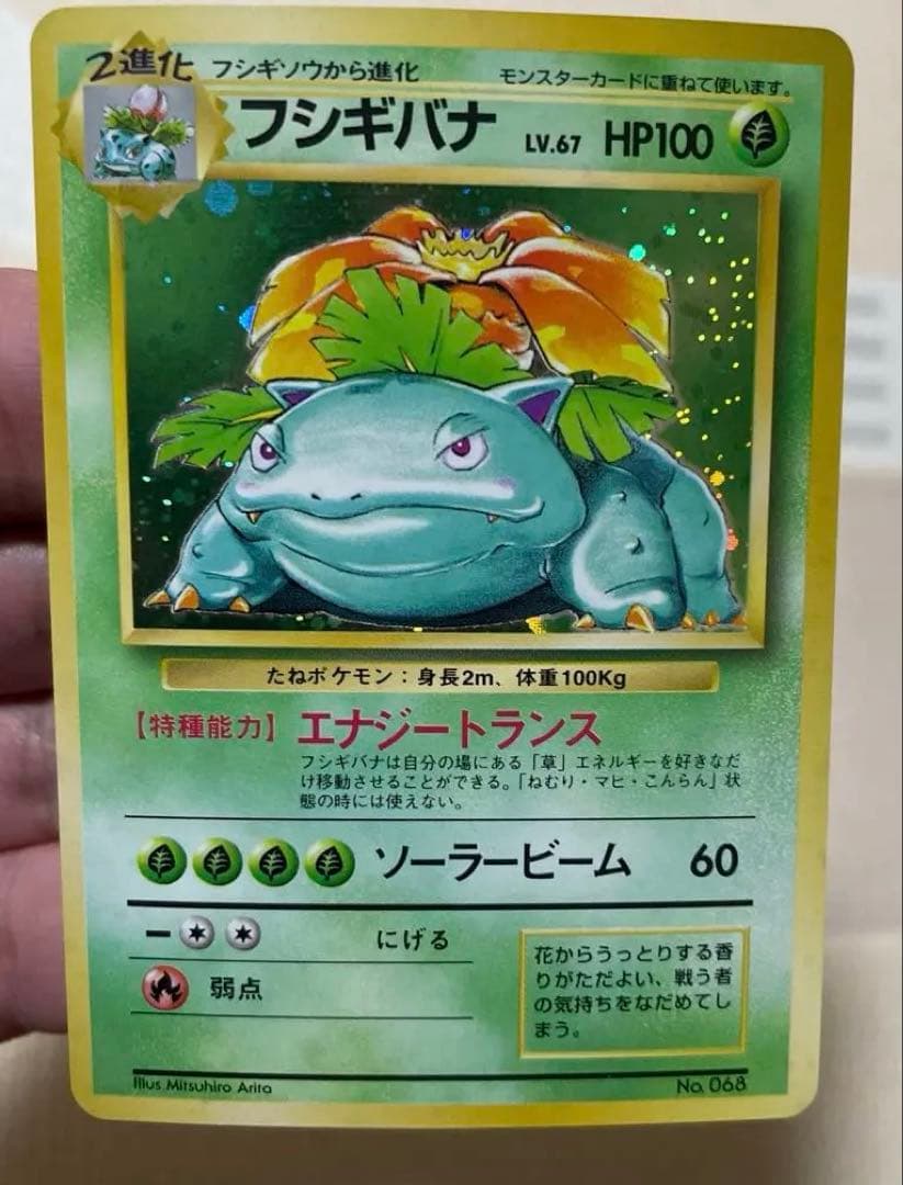 フシギバナ　旧裏　マーク無し