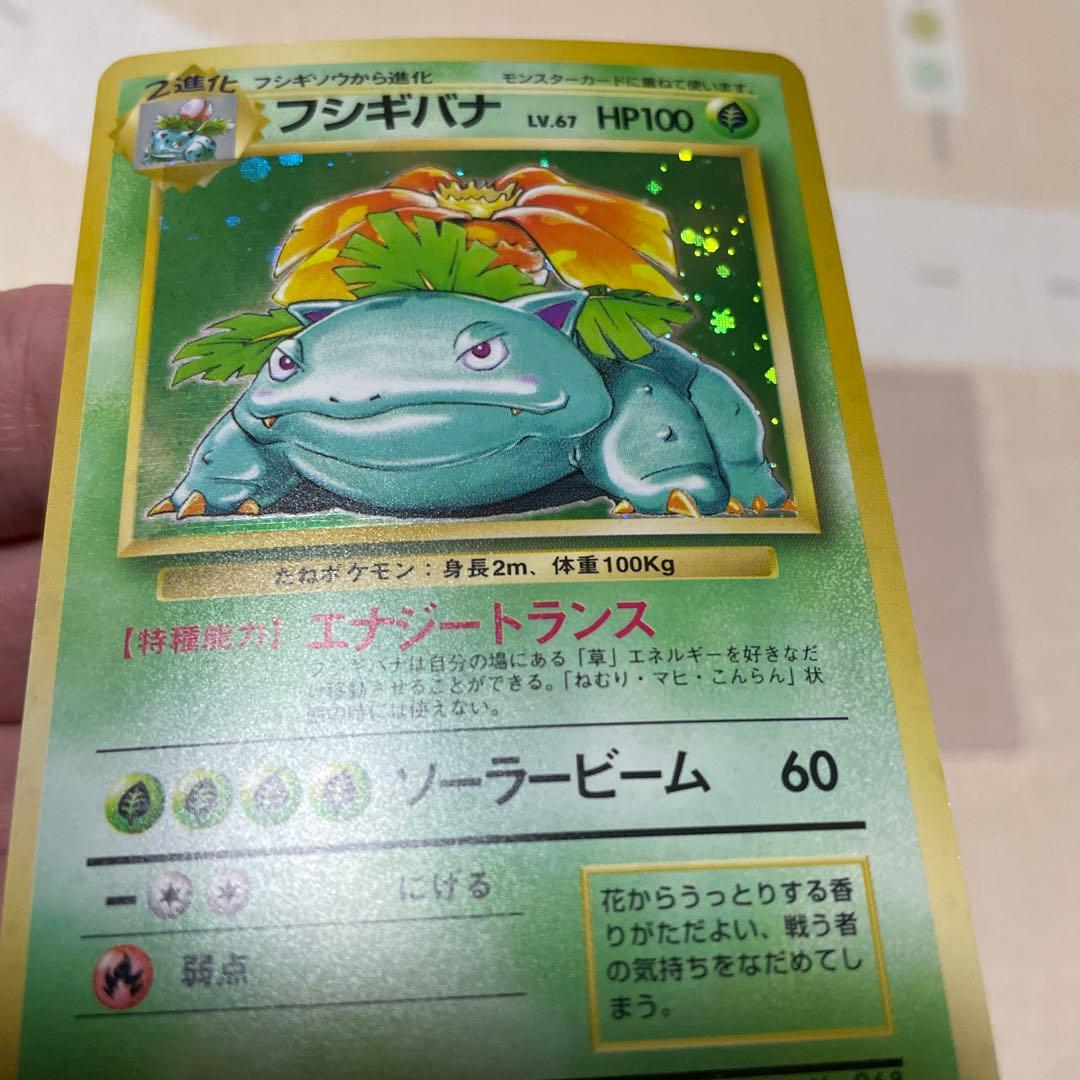 フシギバナ　旧裏　マーク無し