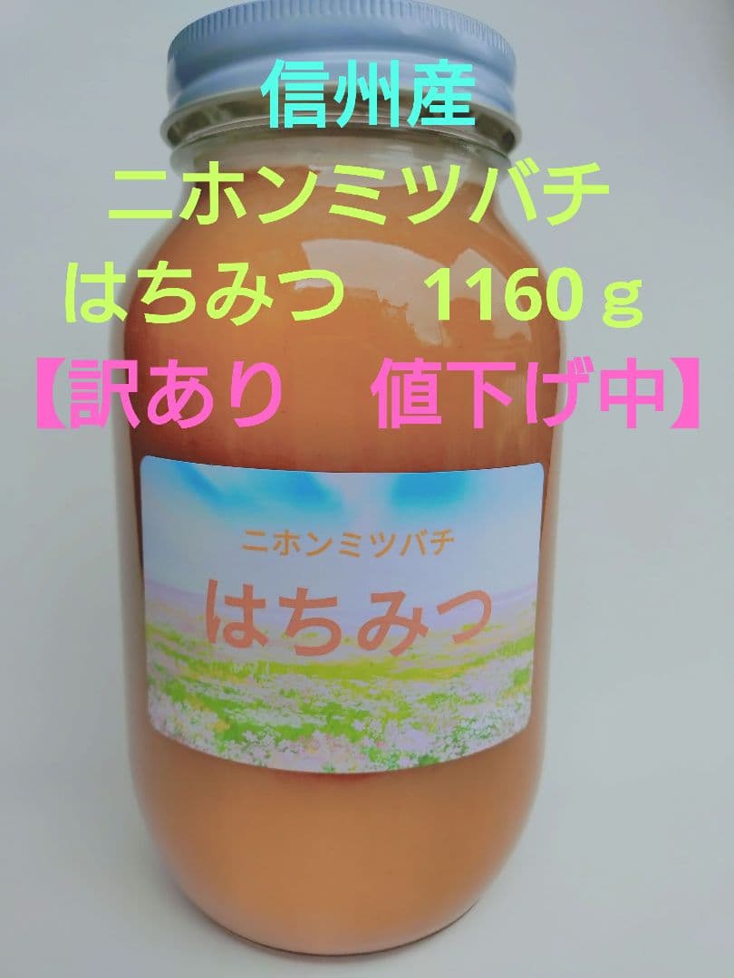 【訳あり】ニホンミツバチ　はちみつ　ハチミツ　信州産　非加熱　1160ｇ