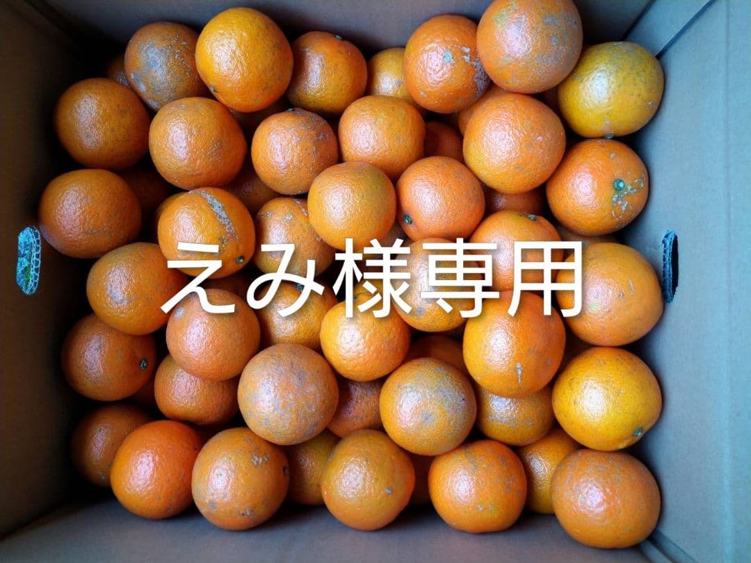 えみ　屋久島たんかん　MS 20キロ