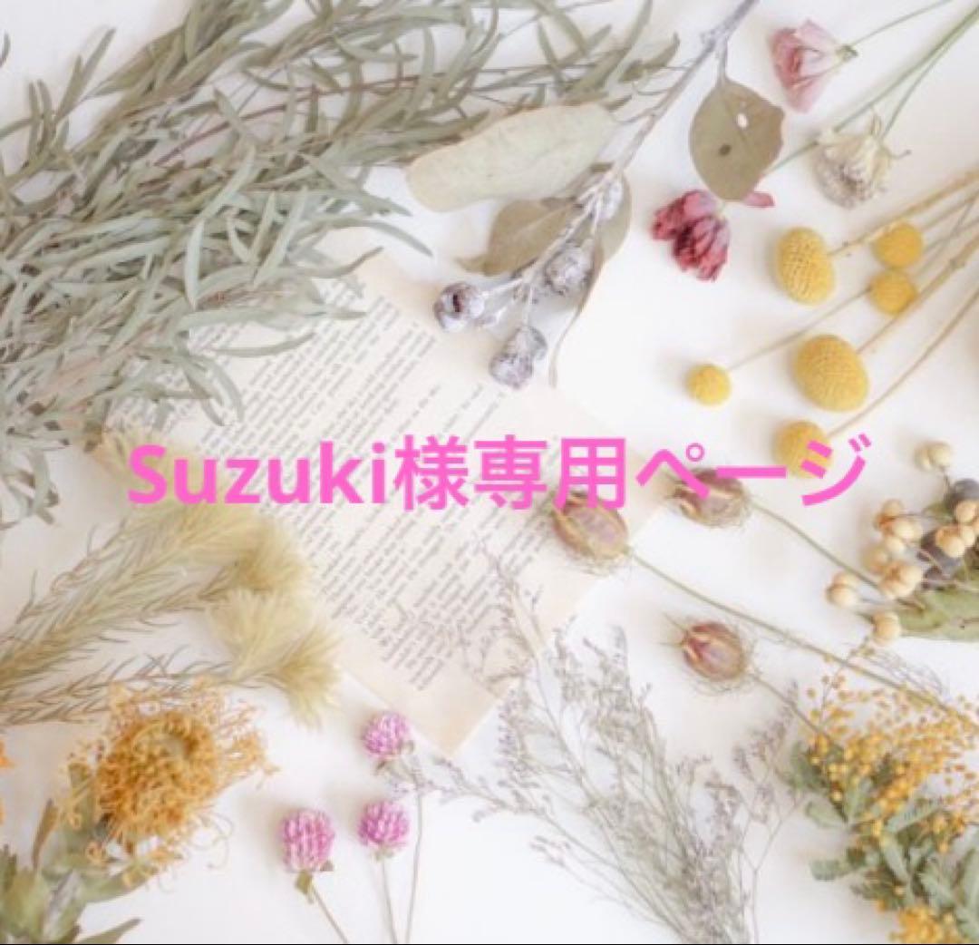Suzukiページです♪
