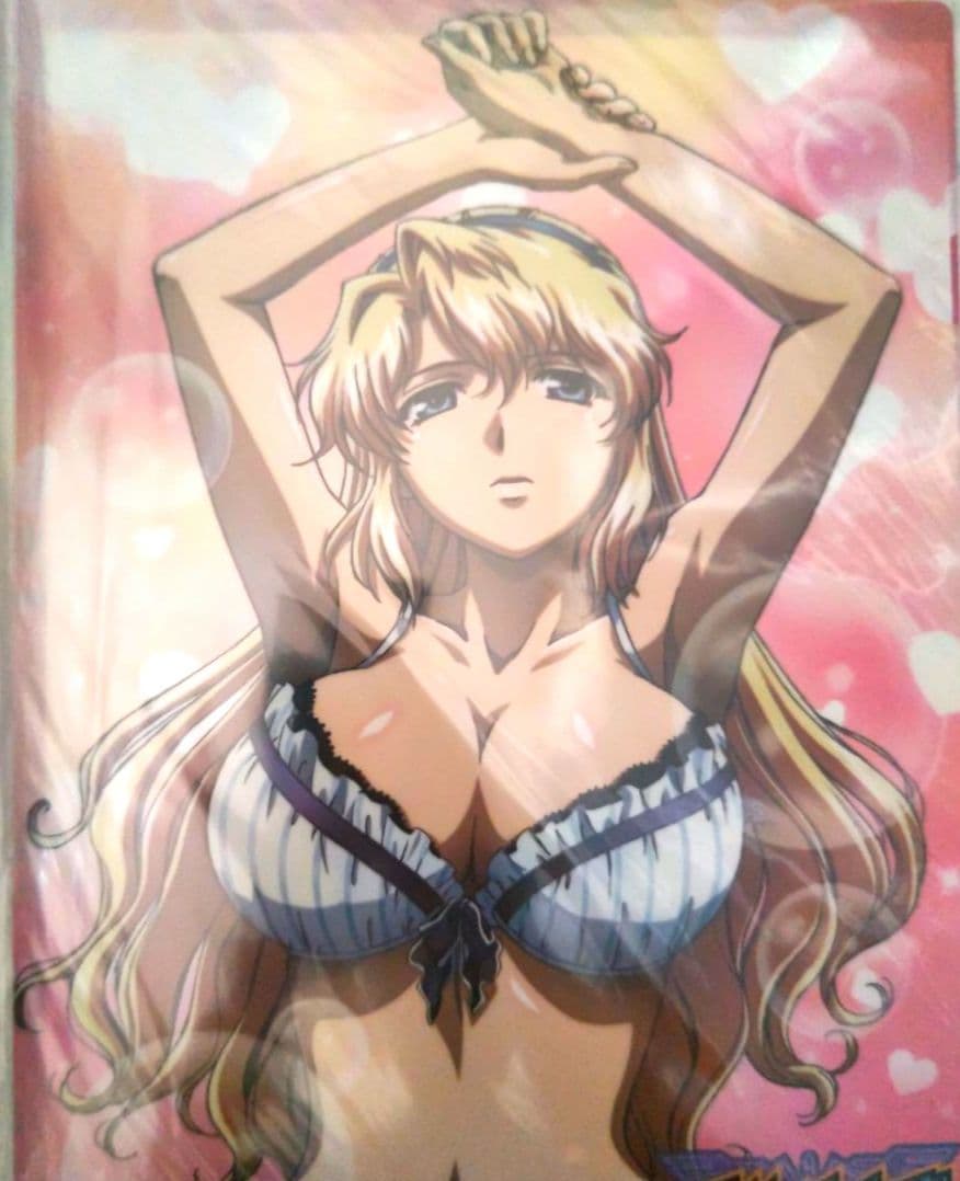 サテライザー 今夜だけ触れてもいいのA3クリアファイル 予約先着特典