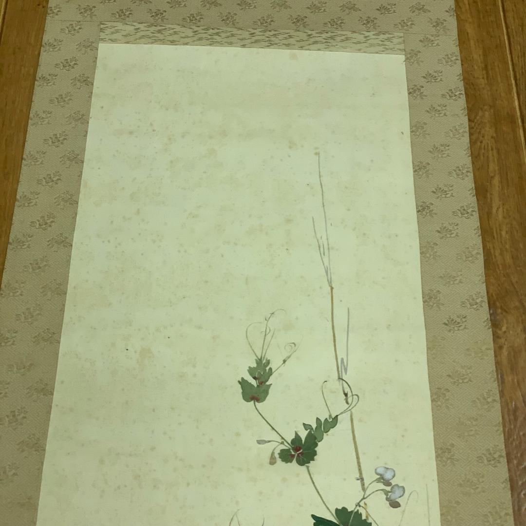 掛軸 草花兎之図 今井景樹 研精斎 花鳥図 鳥獣画 うさぎ 風景画 季節掛け