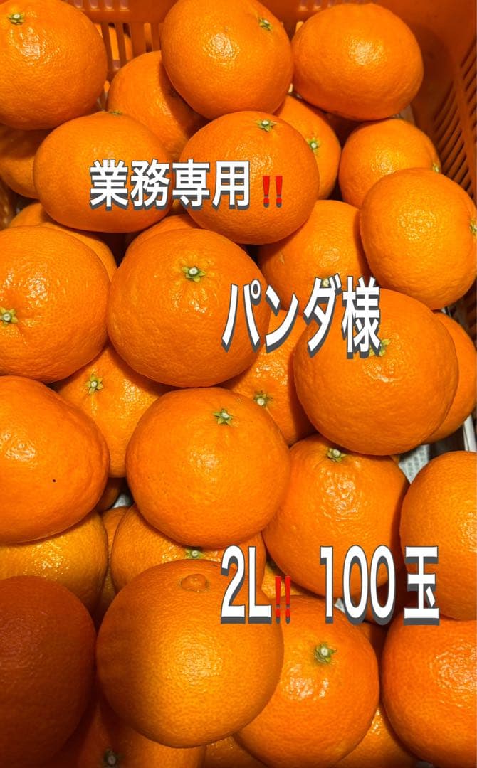 パンダ！業務100玉