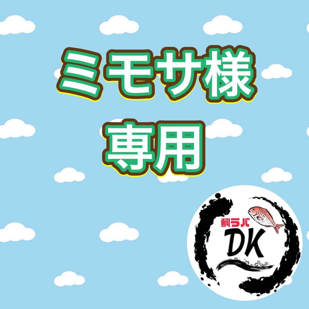 プレーン60g 80g 100g各2個計6個　タングステン　タイラバ　専用出品