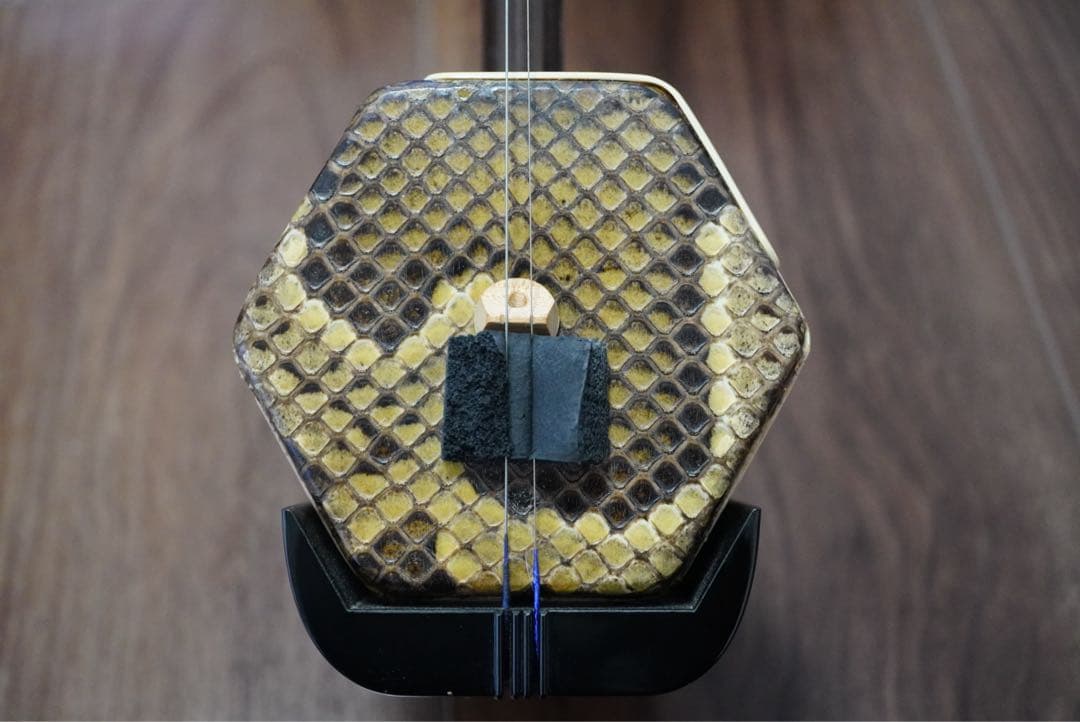 二胡 本蛇皮 革 ケース付き 敦煌杯　駒 弓 弦 美品 松香