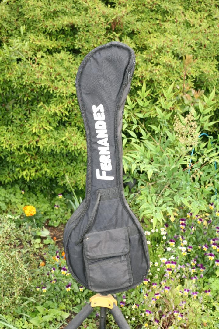 ギター Fernandes ZO-3 RED