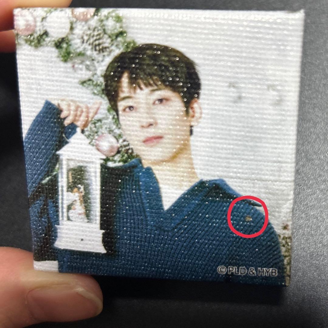 ウォヌ　キャンバスマグネット