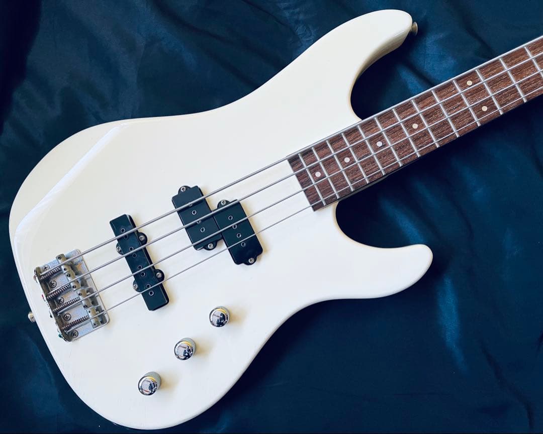 FERNANDES LIMITEDEDITION エレキベースBASS ケース付