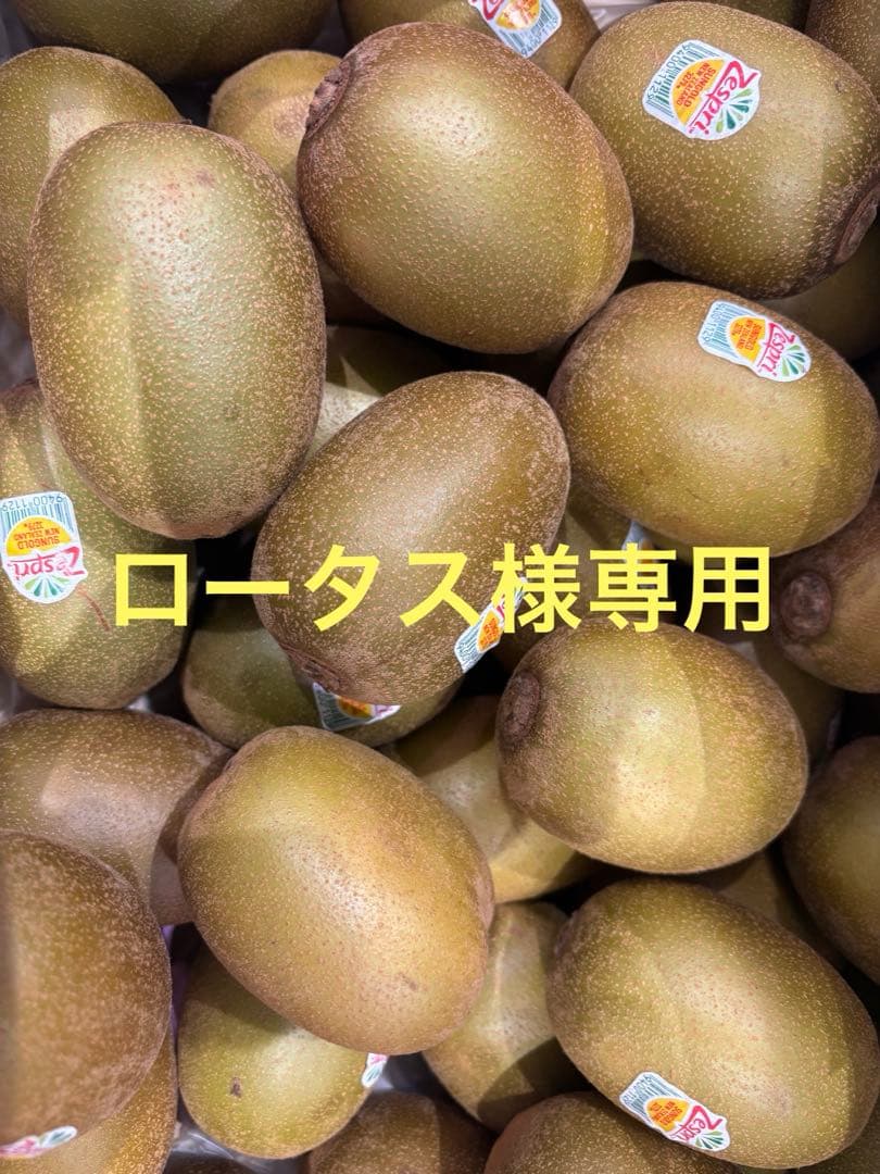 ロータスサンゴールドキウイフルーツ27玉42入り２ケース