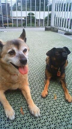 ＡＫＡＲＩさまへ