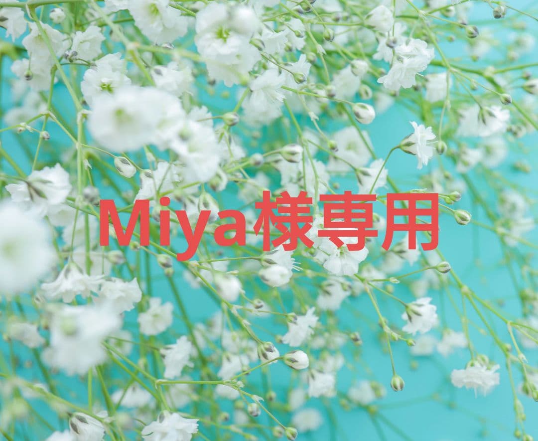 【Miya】