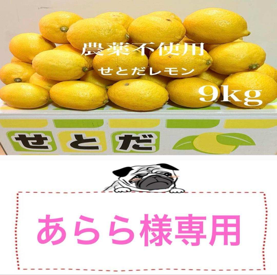 ◇国産瀬戸田レモン9kg前後　あらら様