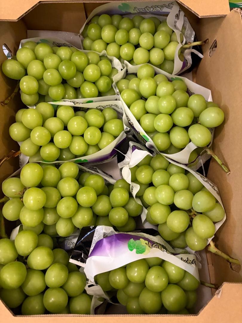 山梨県産　大粒　シャインマスカット！　8房セット　5kg