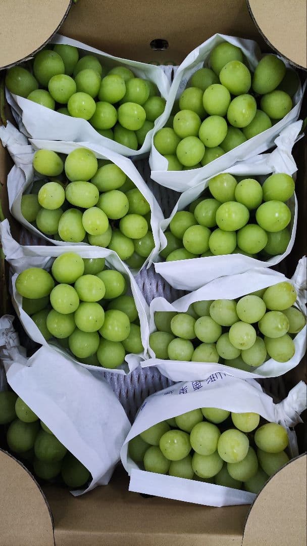 も*ま様 シャインマスカット　5キロ　8入　山形県産