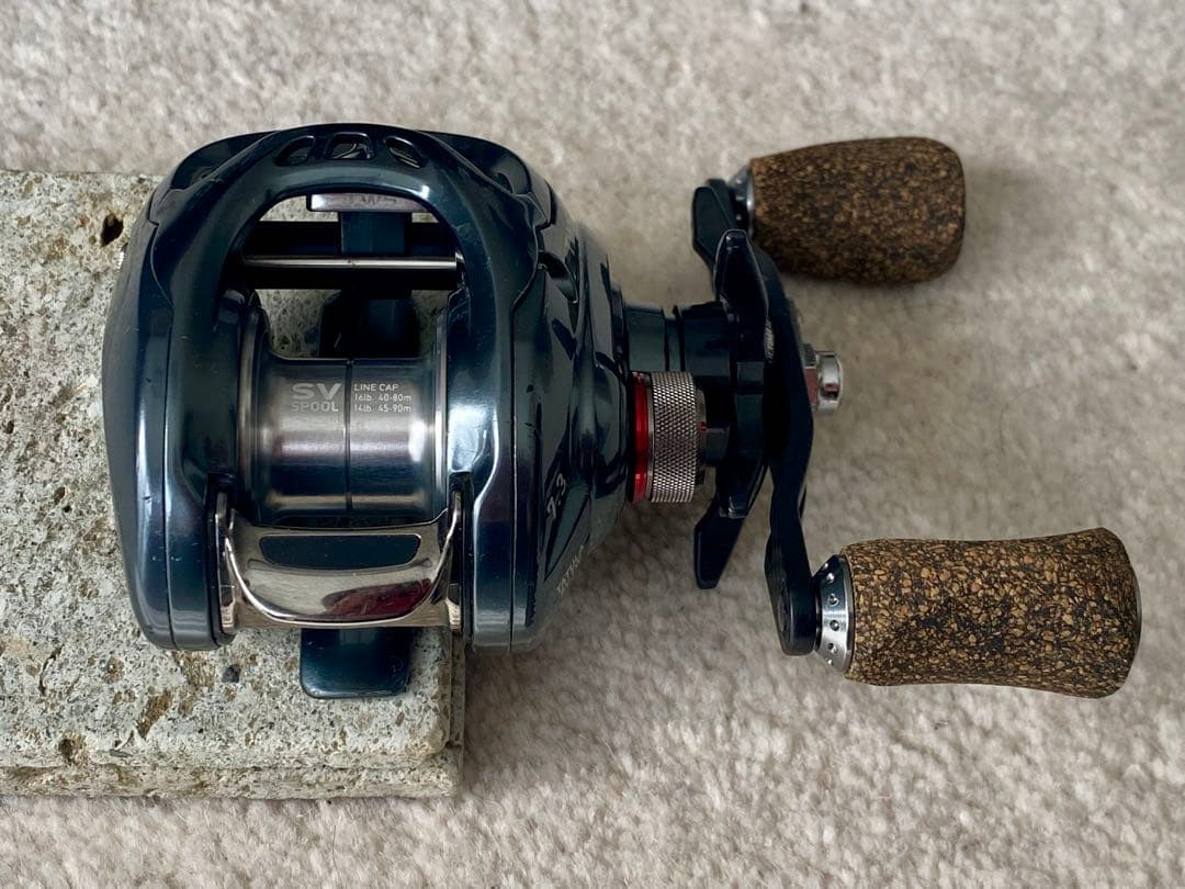 DAIWA TATULA タトューラ SV TW 7.3R