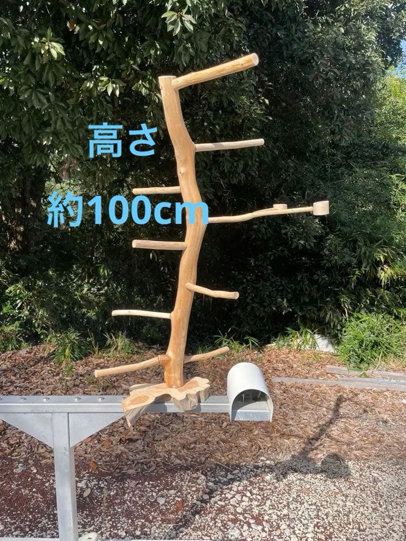 国産ヒノキ　鳥用止まり木　中型インコ用　スタンド　約100センチ