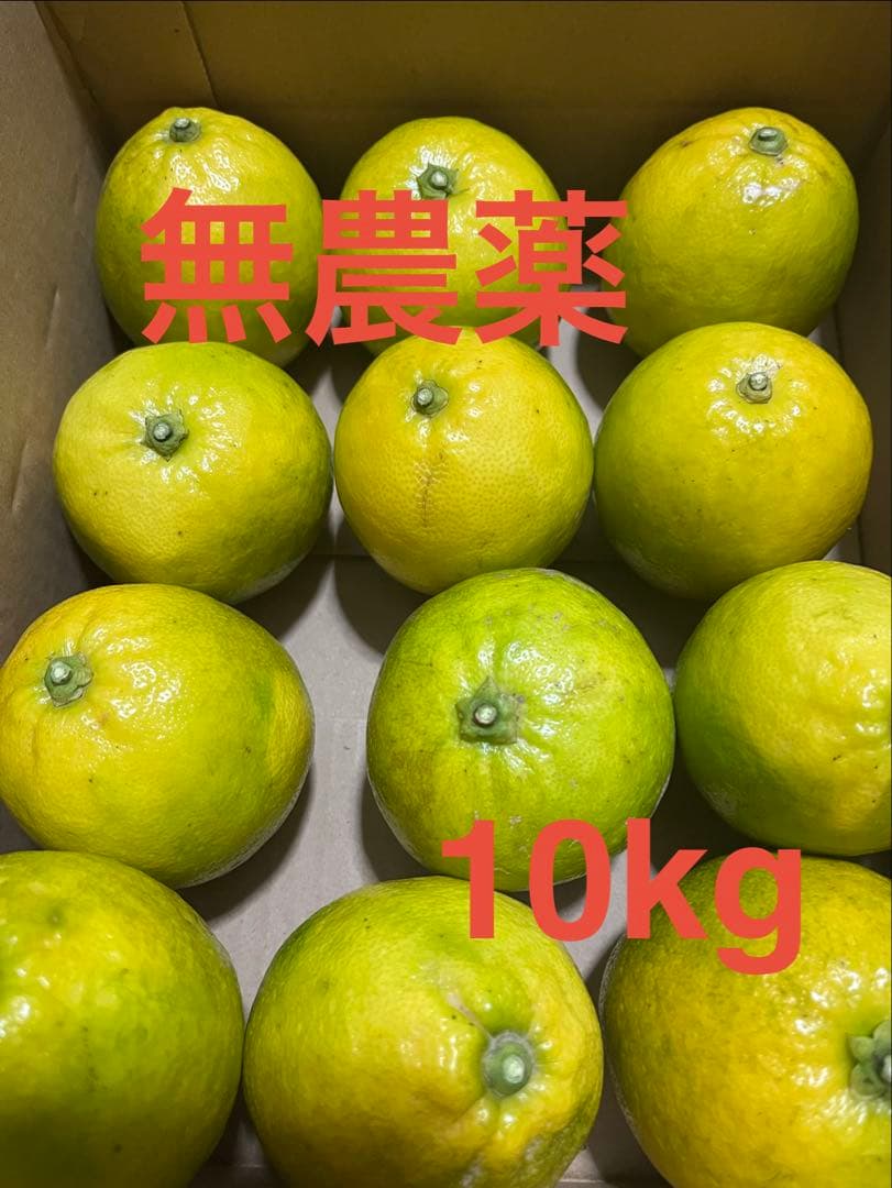 レモンレモネード10kg