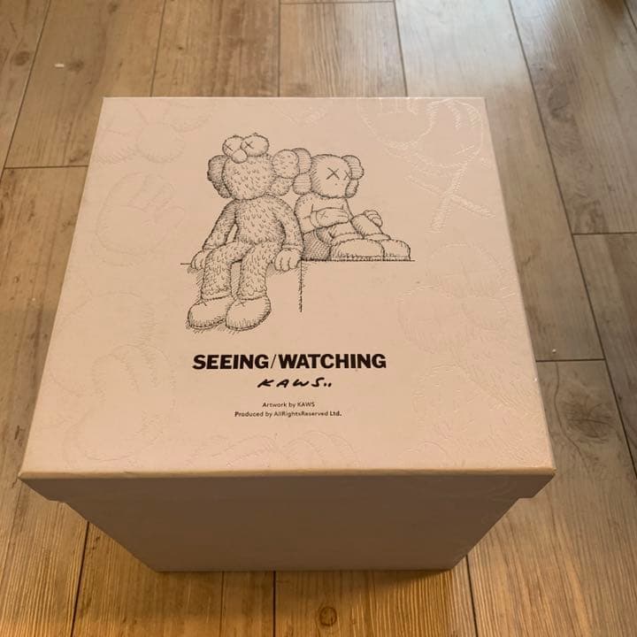kaws seeing watching 大小セット