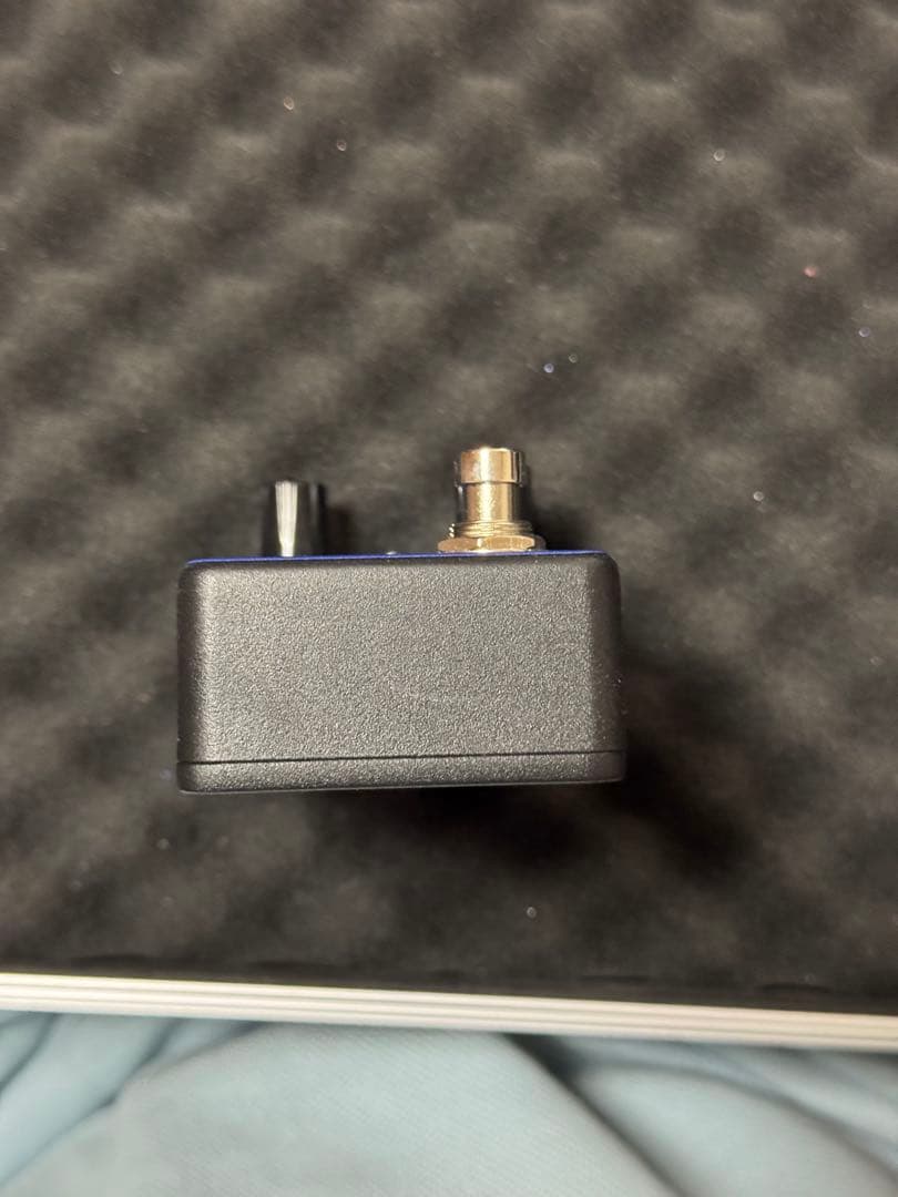 ギター Animals Pedal Custom Illustrated CCV