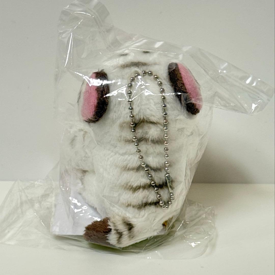 東武動物公園　ホワイトタイガー ぬいぐるみ キーホルダー