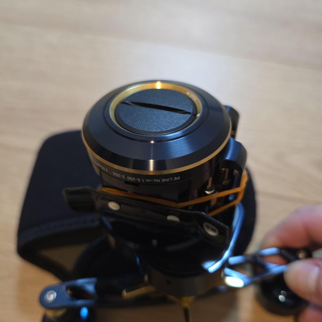 ダイワ Daiwa SALTIGA IC 100PL-DH