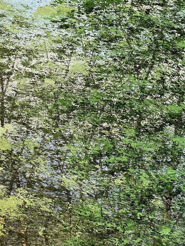 「真作」川田順『渓流(奥入瀬)』風景画　油彩画　額装　サイン有り　F10号