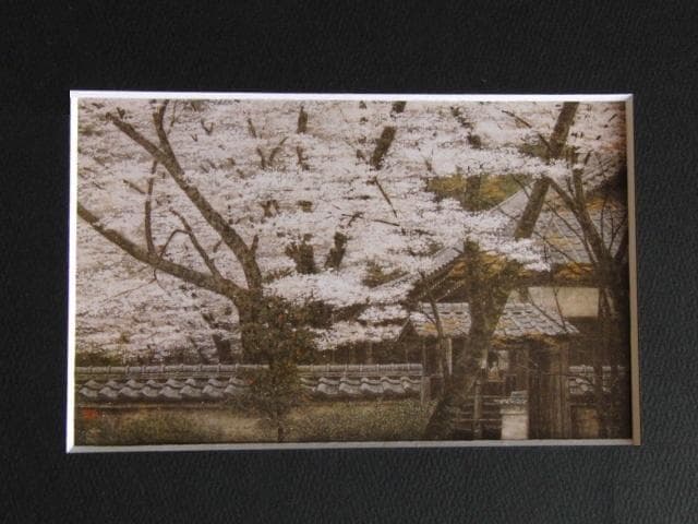 澁澤卿、【伽藍花盛】、希少な画集より、新品額装付、状態良好