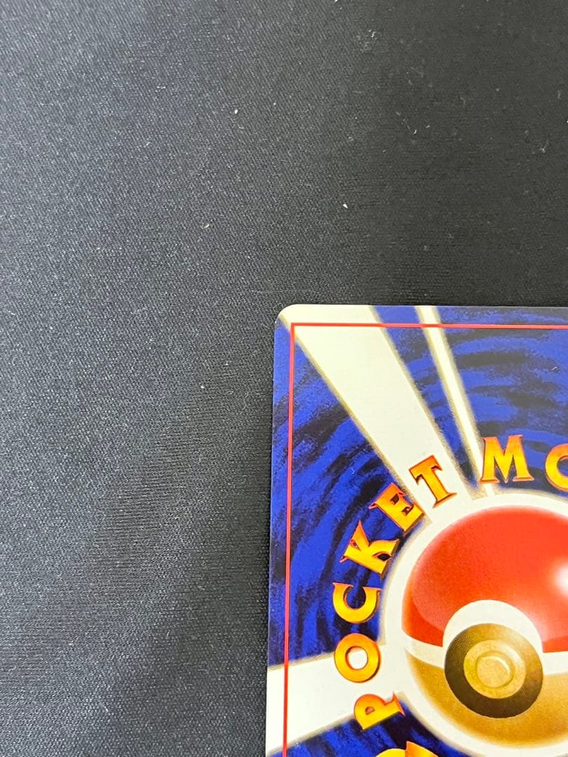 中*迎様 カツラのリザードン