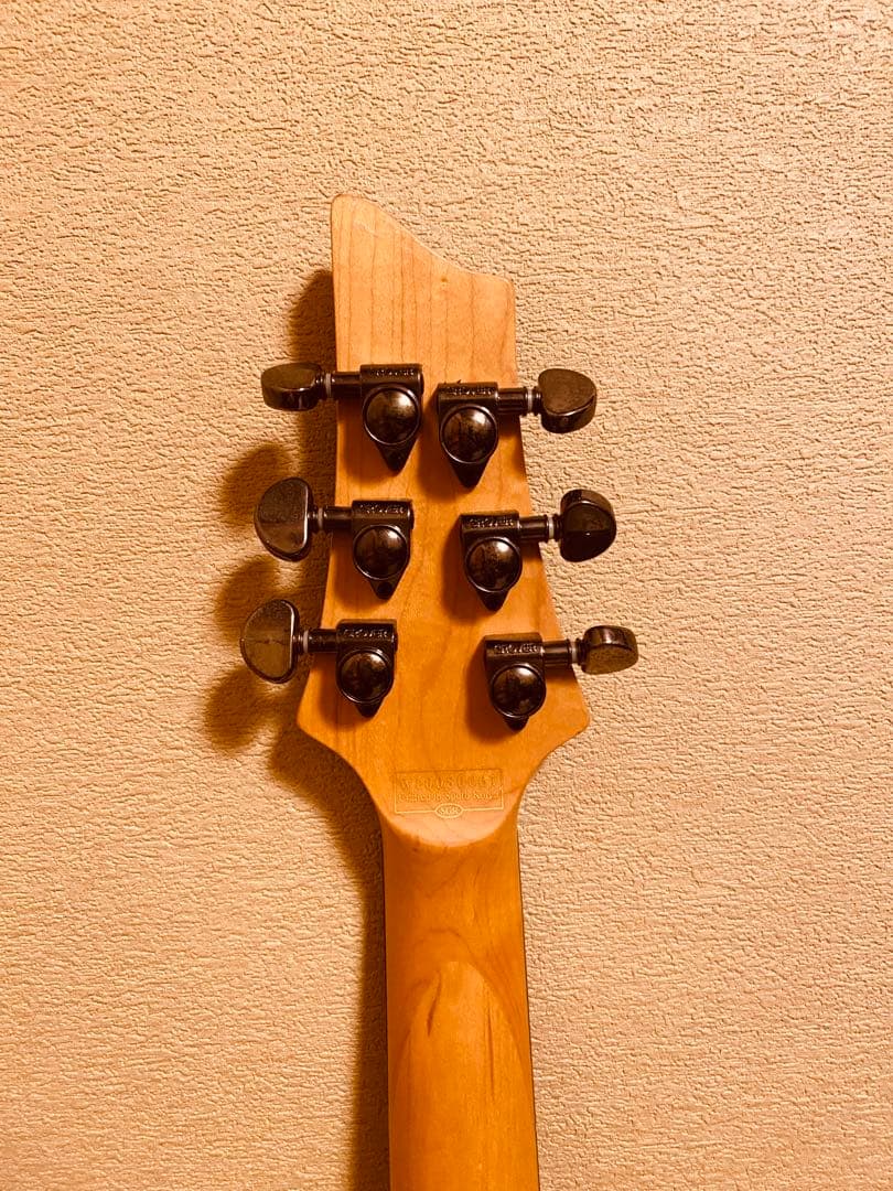 ギター Schecter damien elite