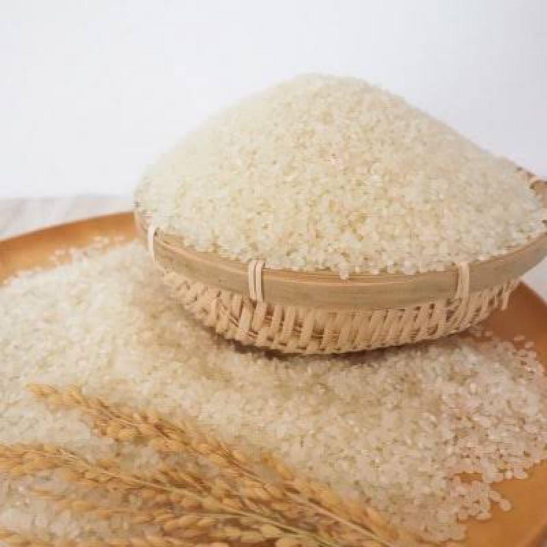 茨城県産コシヒカリ 令和7年産 玄米