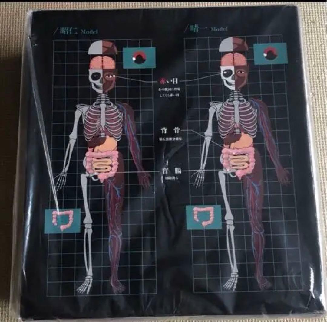 ポルノグラフィティ 人体模型