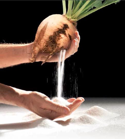 オーガニック甜菜糖（てんさい糖）　25kg　EUオーガニック認証　イタリア産