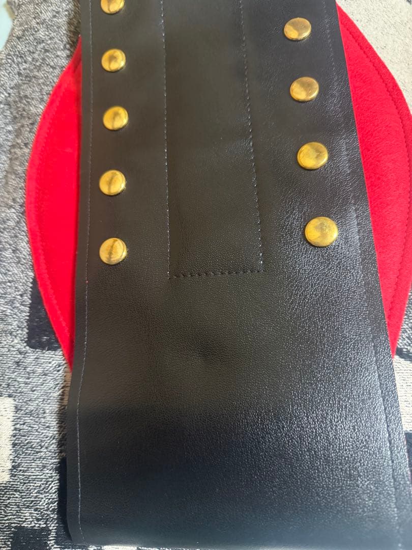 CHAWPIONベルト王冠と羽のデザイン