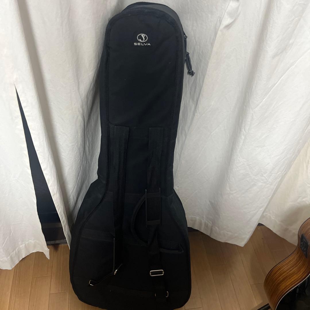 【セット割】　Washburn アコースティックギター +SELVAギターケース