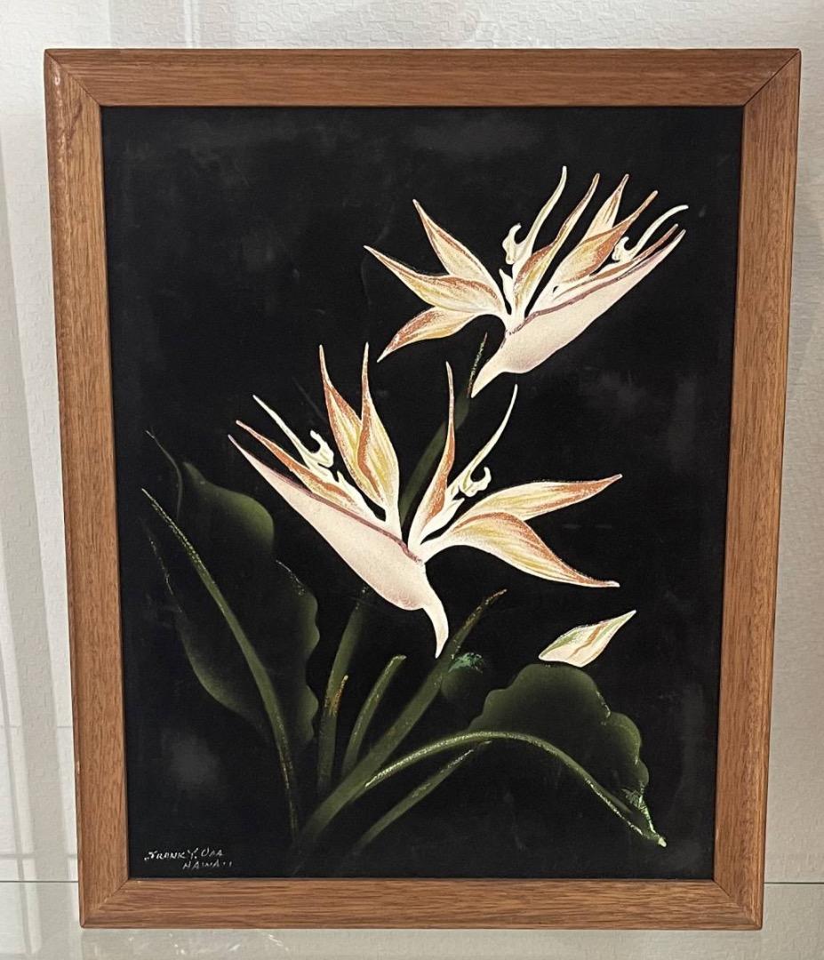 コレクション Hale Pua/ Black Velvet Bird of Paradise