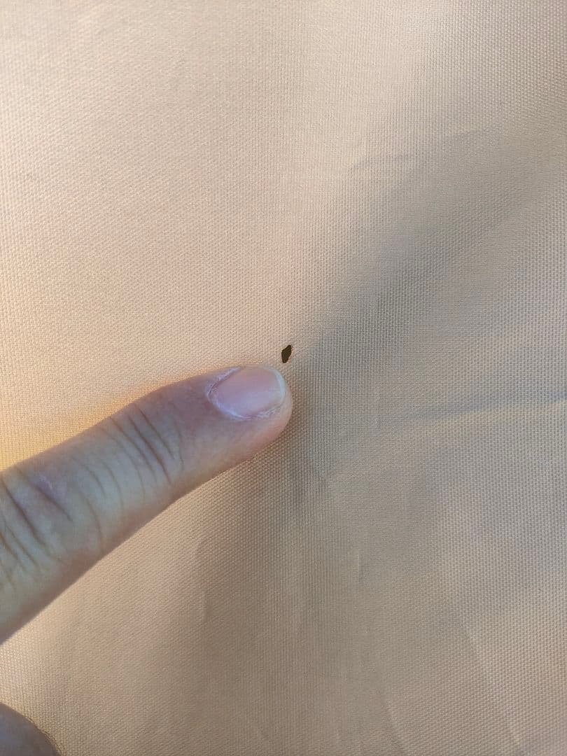 DOD ワンタッチ カンガルーテントM　専用フライシート付き