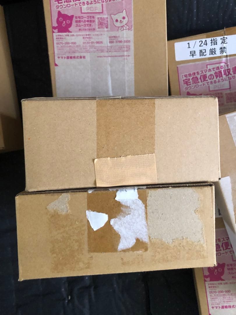 100%本物保証　バトルパートナーズ　ポケモンセンター産　1/24 初版