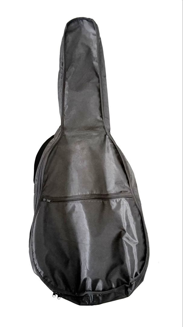 【希少】Pleasant SEL-220ビザールギター エレキギター プリザント