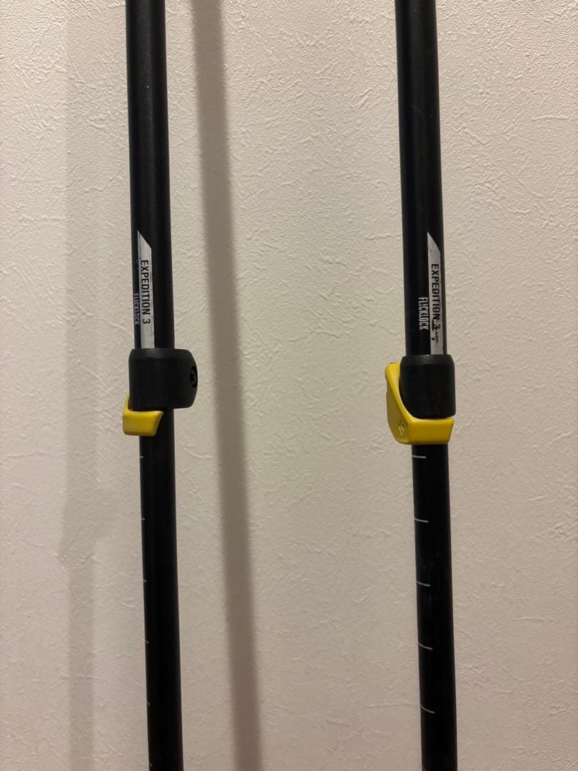  調整可能スキー用ストック　100〜140cm