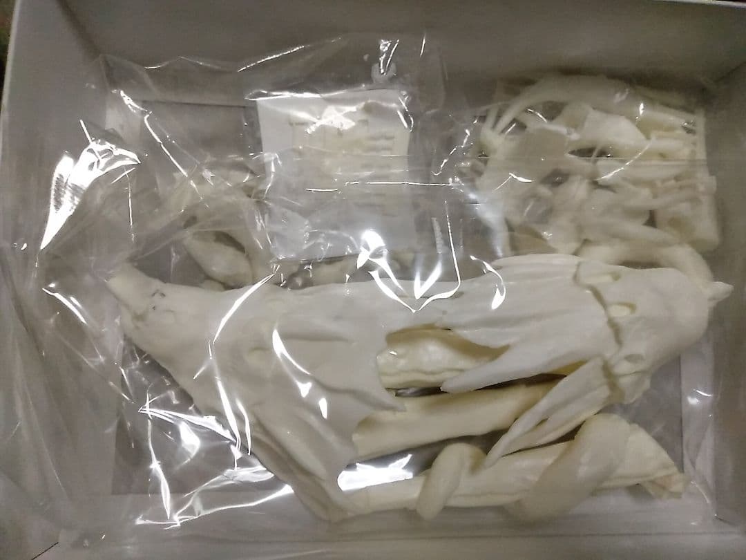 RAMPAGE GHOST白羽衣つむぎ ガレージキット