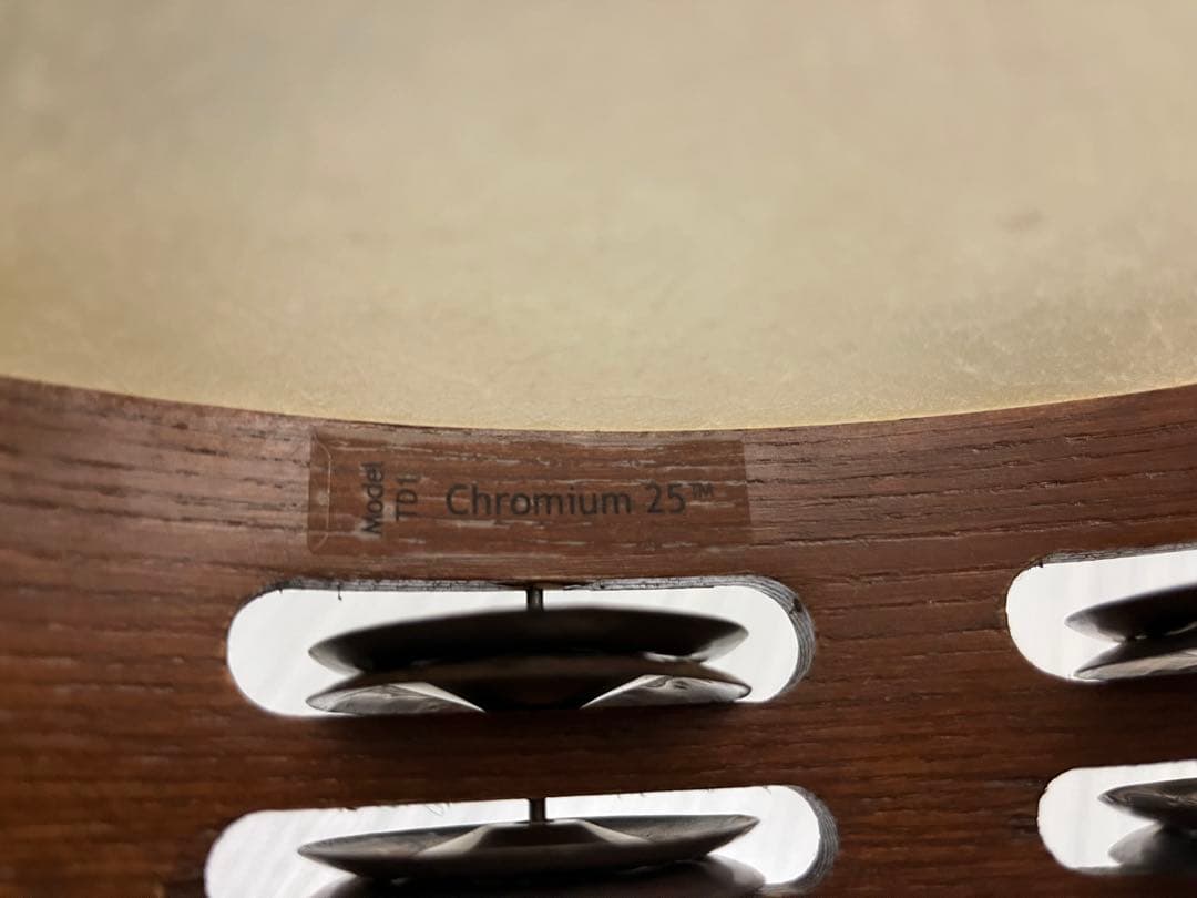 Black Swamp TD1 Chromium 25 タンバリン　ケース付き