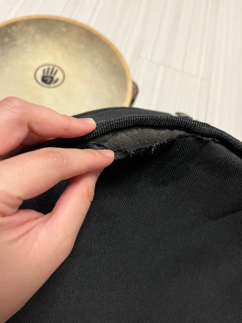 Black Swamp TD1 Chromium 25 タンバリン　ケース付き