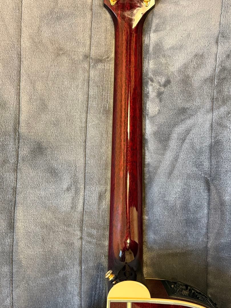 Takamine タカミネ DMP551C WR エレアコ ギターケース付き