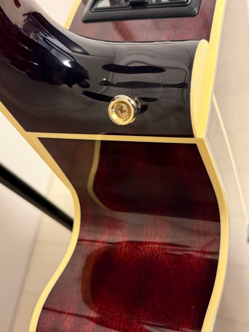 Takamine タカミネ DMP551C WR エレアコ ギターケース付き